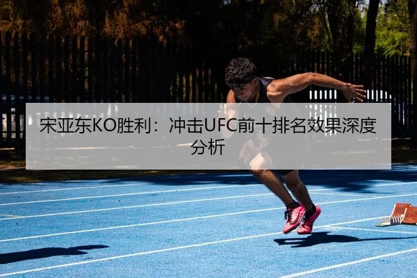 宋亚东KO胜利：冲击UFC前十排名效果深度分析（yaxin）